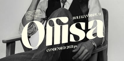 Bolegan Display Font Poster 2