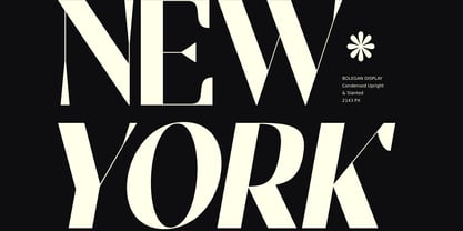 Bolegan Display Font Poster 8