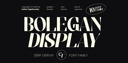 Bolegan Display Font Poster 1