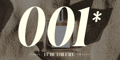 Bolegan Display Font Poster 9