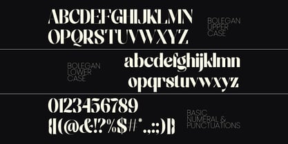 Bolegan Display Font Poster 12