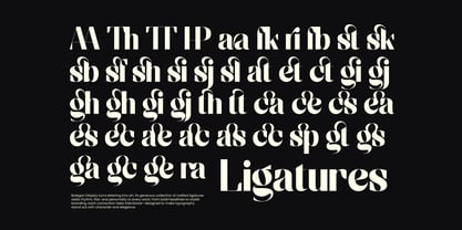 Bolegan Display Font Poster 13