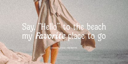 Ombre Nouveau Font Poster 3