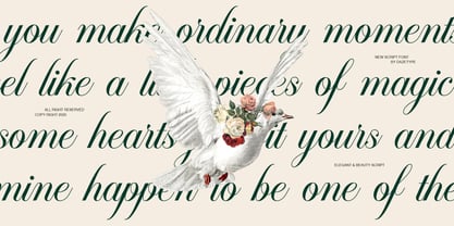 Changretta Font Poster 5