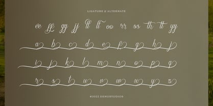 Narottewla Font Poster 12