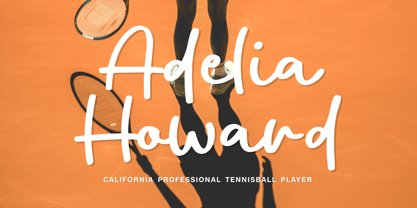 Golden Huston Font Poster 9