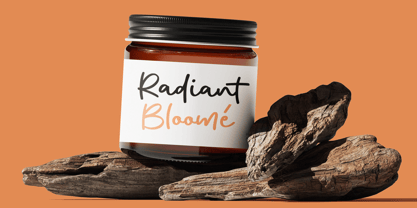 Golden Huston Font Poster 6