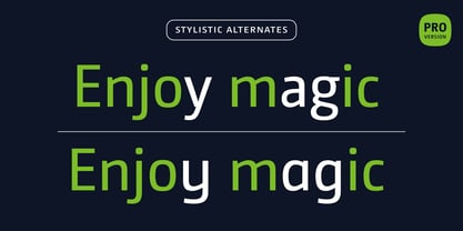 CamingoDos Font Poster 7