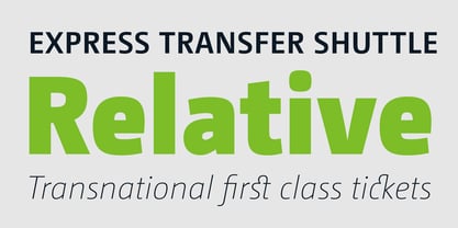 CamingoDos Font Poster 5