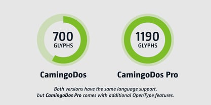 CamingoDos Font Poster 10