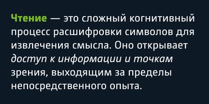 CamingoDos Font Poster 4