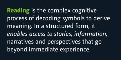 CamingoDos Font Poster 3