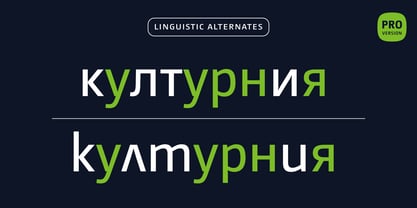 CamingoDos Font Poster 8