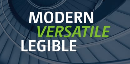 CamingoDos Font Poster 2