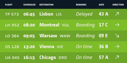 CamingoDos Font Poster 6