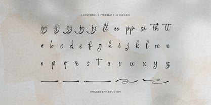 Kaylime Lisandrei Font Poster 12