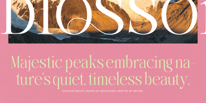 Makcasa Font Poster 6