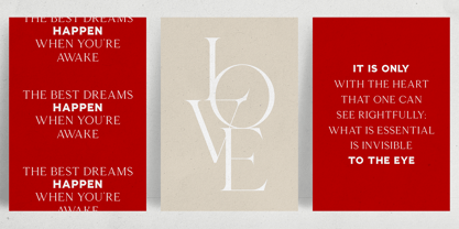 Esquie Type VF Font Poster 10