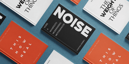 Esquie Type VF Font Poster 2