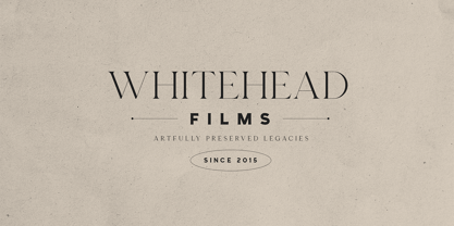 Esquie Type VF Font Poster 6