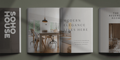 Esquie Type VF Font Poster 7