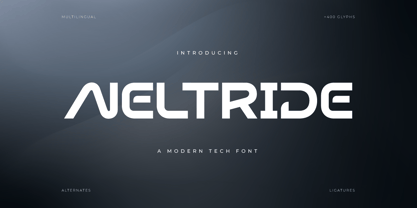 Neltride Font Poster 1