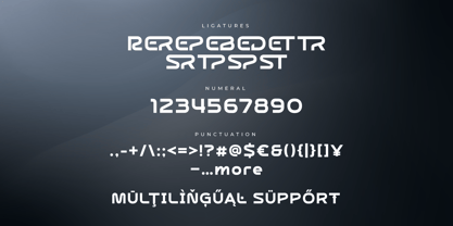 Neltride Font Poster 11