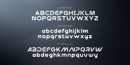 Neltride Font Poster 10