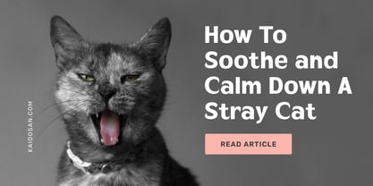 Velion Font Poster 6