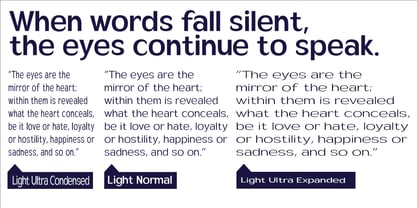 Velion Font Poster 10