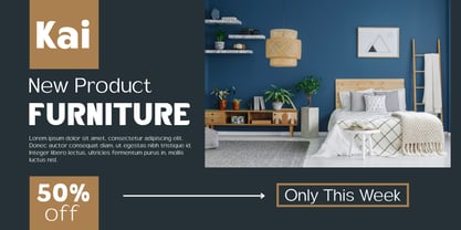 Velion Font Poster 2