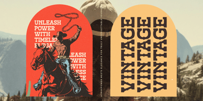 Alchemy Rustic Font Poster 14