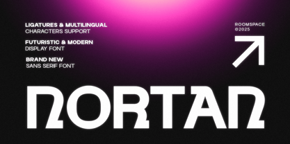 Nortan Font Poster 1