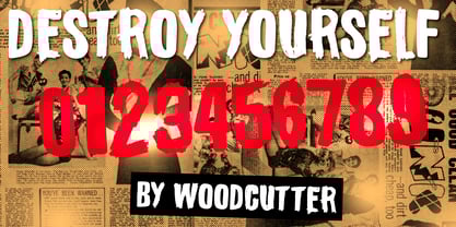 Destroy Yourself Font Poster 6