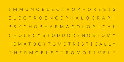 Ruchka Font Poster 6