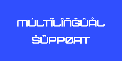 Snaruzhi Font Poster 11