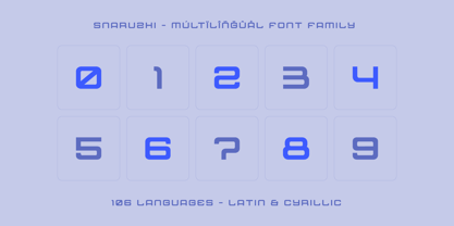 Snaruzhi Font Poster 12