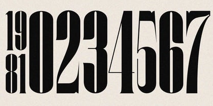 Zt Grovian Font Poster 8