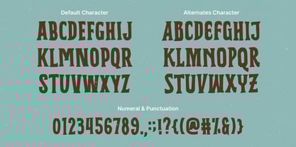 MN Calvero Font Poster 7