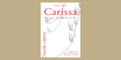 Monecias Font Poster 4