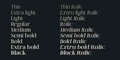 Qlaxe Serif Font Poster 6