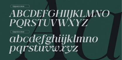 Qlaxe Serif Font Poster 7
