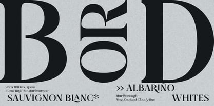 Qlaxe Serif Font Poster 11