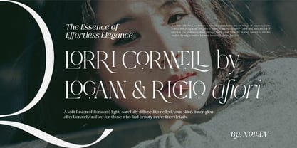 Qlaxe Serif Font Poster 5