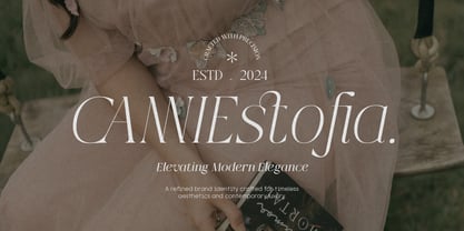 Qlaxe Serif Font Poster 13