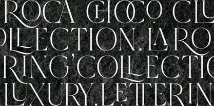 Qlaxe Serif Font Poster 12