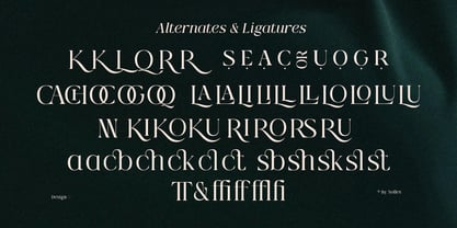 Qlaxe Serif Font Poster 2