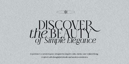 Qlaxe Serif Font Poster 3