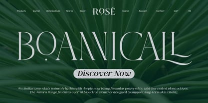 Qlaxe Serif Font Poster 9