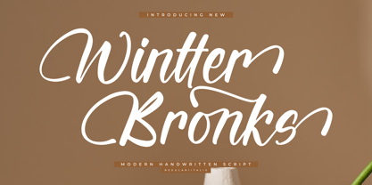 Wintter Bronks Font Poster 1
